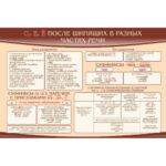 Стенд "О Е Ё после шипящих в разных частях речи"