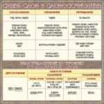 Стенд "Связь слов в словосочетании"