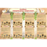 Стенд "Основные литературные направления"