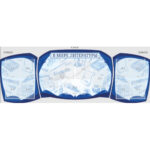 Комплект из резных стендов "В мире литературы" синий