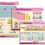Комплект таблиц для нач. шк. "Математика. Нумерация" (8 табл., формат А1, лам.)