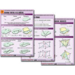 Комплект таблиц по геометрии "Стереометрия. Взаимное расположение фигур в пространстве" (8т, А1,лам)