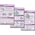 Комплект таблиц по геометрии "Стереометрия. Многогранники" (8 табл., А1, лам.)