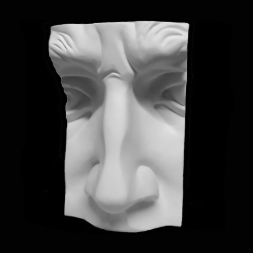 Гипсовая модель "Нос человека" Гипсовая модель "Нос человека"