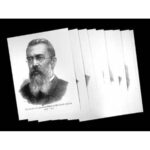 Портреты композиторов (35 шт, ф А3)