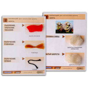 Коллекция "Шерсть" (нач. шк.)