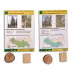 Коллекция "Древесные растения и их распространение" (демонстрационная)