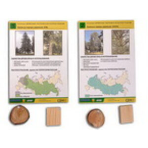 Коллекция "Древесные растения и их распространение" (демонстрационная)