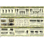 Плакаты "Строевая подготовка" (10 плакатов размером 41х30 см)