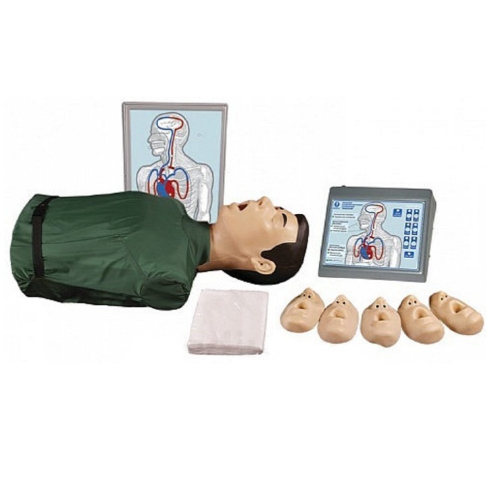 Максим III тренажер сердечно-легочной и мозговой реанимации пружинно-механический с индикацией правильности выполнения действий, тестовыми режимами и настенным табло - торс Максим III тренажер сердечно-легочной и мозговой реанимации пружинно-механический с индикацией правильности выполнения действий, тестовыми режимами и настенным табло - торс