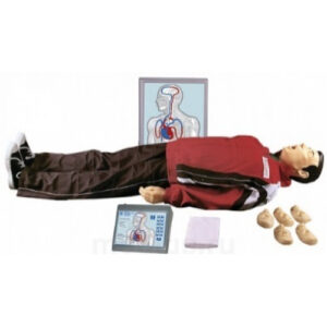 Максим III-01 тренажер сердечно-легочной и мозговой реанимации пружинно-механический с индикацией правильности выполнения действий, тестовыми режимами и настенным табло - манекен