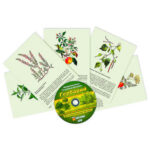 Интерактивный наглядный комплекс "Гербарий "Для начальной школы"