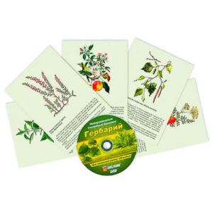 Интерактивный наглядный комплекс "Гербарий "Для начальной школы"