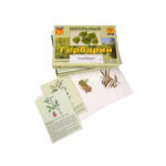 Гербарий "Для начальной школы" (30 видов, с иллюстрациями)