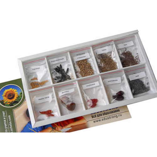 Коллекция "Плоды сельскохозяйственных растений" Коллекция "Плоды сельскохозяйственных растений"