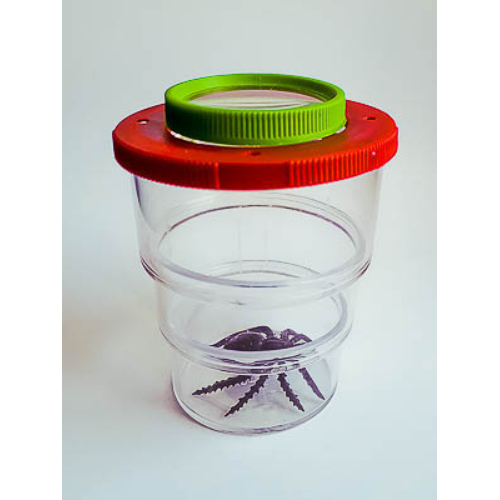 Коробка для изучения насекомых с лупой Коробка для изучения насекомых с лупой