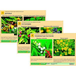 Гербарий фотографический "Ядовитые растения"