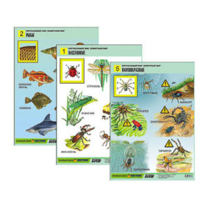 Комплект таблиц для нач. шк. "Окружающий мир. Животный мир" (8 табл., А1, лам.)