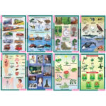 Таблицы демонстрационные "Окружающий мир 2 кл."