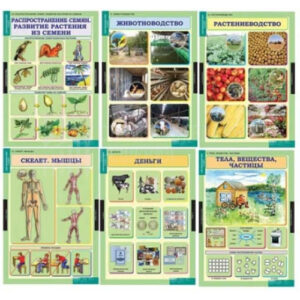 Таблицы демонстрационные "Окружающий мир 3 кл."