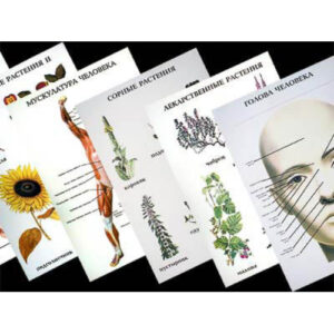 Таблицы по природоведению 1-3 кл. (46 шт, ф. А2)