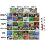 Фенологические наблюдения