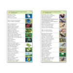 Комплект карточек (10) "Обучающий калейдоскоп. Природа"