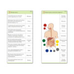 Комплект карточек (10) "Обучающий калейдоскоп. Человек"