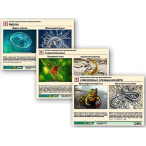 Комплект таблиц раздаточных "Ядовитые животные"