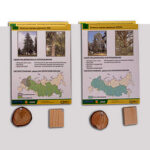 Коллекция "Древесные растения и их распространение" (демонстрационная)