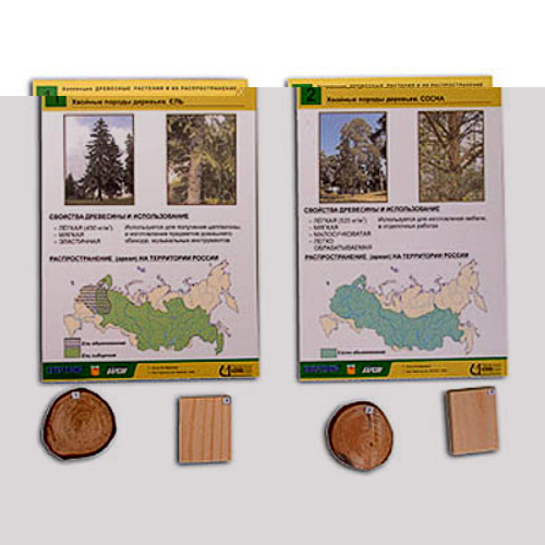 Коллекция "Древесные растения и их распространение" (демонстрационная) Коллекция "Древесные растения и их распространение" (демонстрационная)