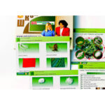 Коллекция "Шелк и продукты его переработки" (средн. шк.)