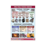 Таблица демонстрационная "Горные породы и полезные ископаемые" (винил 100x140)