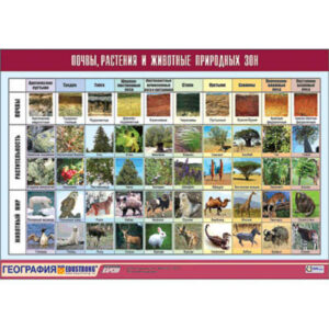 Таблица демонстрационная "Почвы, растения и животные природных зон" (винил 100x140)