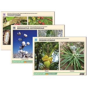 Гербарий фотографический "Сельскохозяйственные растения мира" Гербарий фотографический "Сельскохозяйственные растения мира"