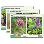 Гербарий фотографический "Сельскохозяйственные растения России"