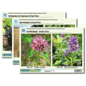 Гербарий фотографический "Сельскохозяйственные растения России"