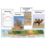 Модель-аппликация "Природные зоны" (ламинированная)