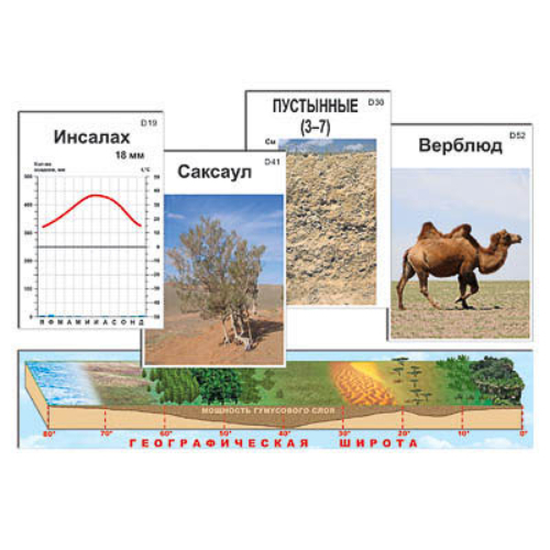 Модель-аппликация "Природные зоны" (ламинированная) Модель-аппликация "Природные зоны" (ламинированная)