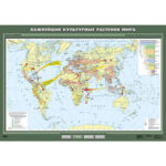 Учебн. карта "Важнейшие культурные растения мира" 100х140