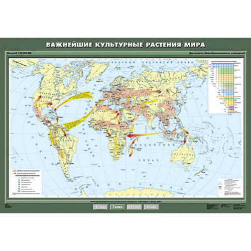 Учебн. карта "Важнейшие культурные растения мира" 100х140 Учебн. карта "Важнейшие культурные растения мира" 100х140