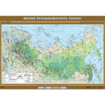 Учебн. карта "Лесная промышленность России" 100х140