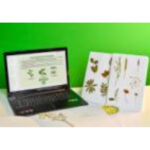 Гербарий натурально-интерактивный "Морфология растений"