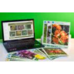 Гербарий натурально-интерактивный "Основные группы растений. Грибы. Лишайники".