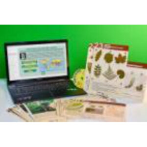 Гербарий натурально-интерактивный к курсу основ общей биологии