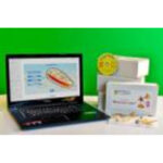 Коллекция натурально-интерактивная "Морское дно"