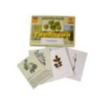 Гербарий "Деревья и кустарники" (22 вида, с иллюстрациями)