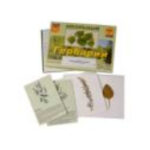 Гербарий "Лекарственные растения" (22 вида, с иллюстрациями)