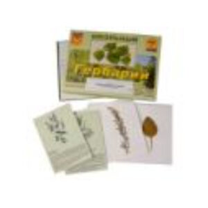 Гербарий "Лекарственные растения" (22 вида, с иллюстрациями)