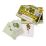 Гербарий "Растительные сообщества. Лес" (9 видов, 10 планшетов, с иллюстрациями и фотографиями)